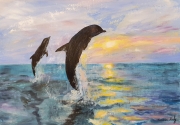 Dolphins