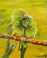 Parrots