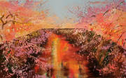 Blossoming sakura trees at dusk