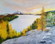 Conifers in front of a lake