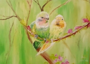 Birds on a peach branch