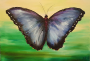 Wings