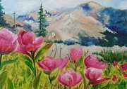 Peonies