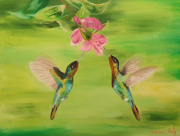 Hummingbirds
