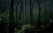 Fireflies