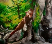 Bear