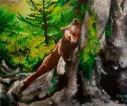 Bear