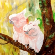 Cockatoos