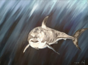 Great white shark