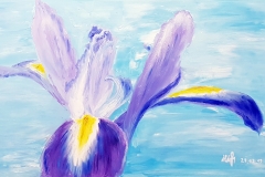 Iris