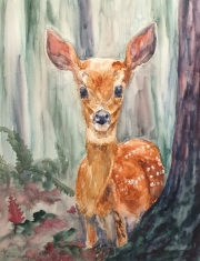 Fawn